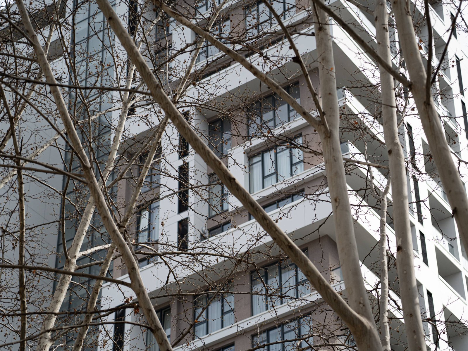 GDG Multifunctional Complex